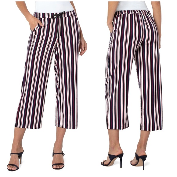 NWT Stitch Fix Liverpool Audrey Pull On Wide Leg Crop Trouser Stripe Size Medium - Picture 1 of 12